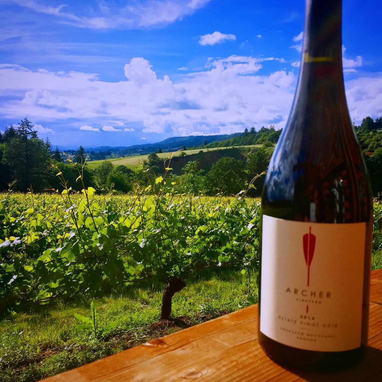 A bottle of archer wine sits on a table in front of a vineyard