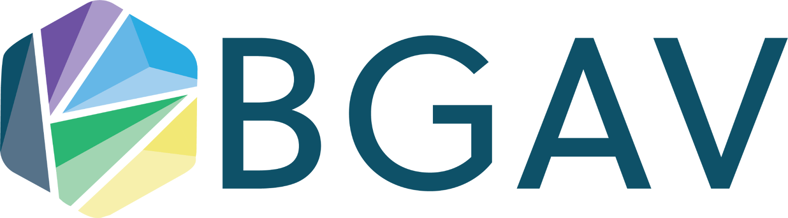 A logo for bgav with a rainbow of colors on a white background.