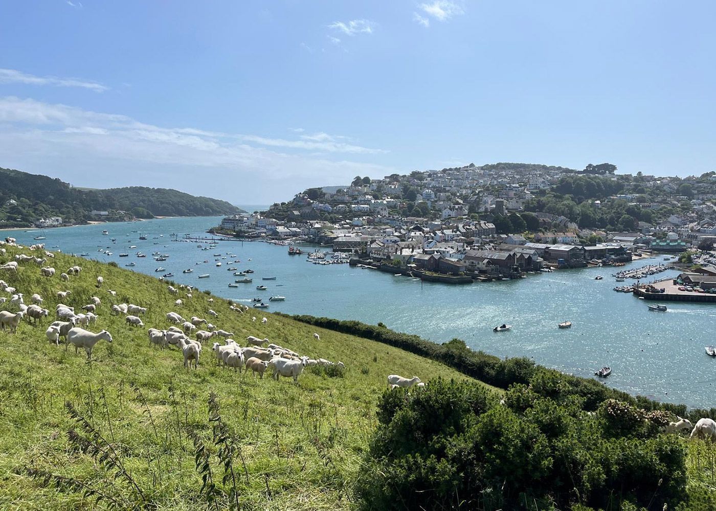 Salcombe