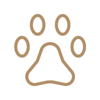 Dog Friendly Accommodation Devon