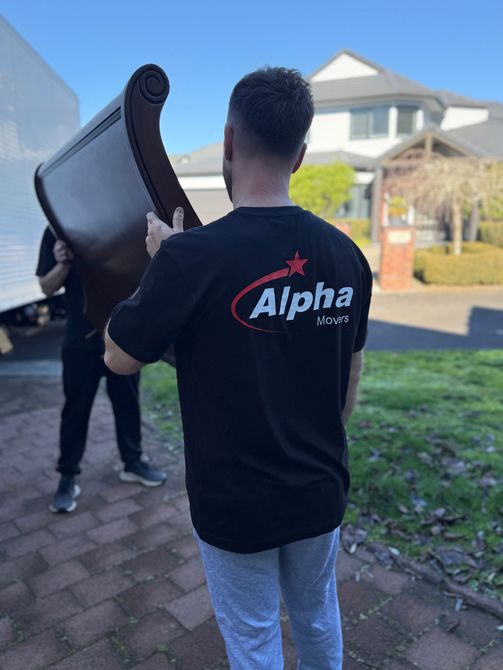 Moving in Hamilton