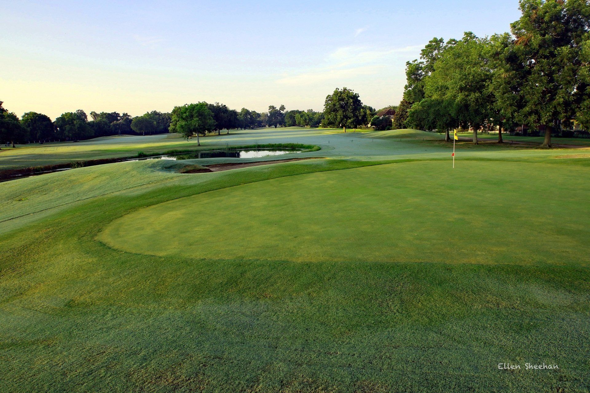 Gallery Pecan Grove Plantation Country Club Richmond, Texas
