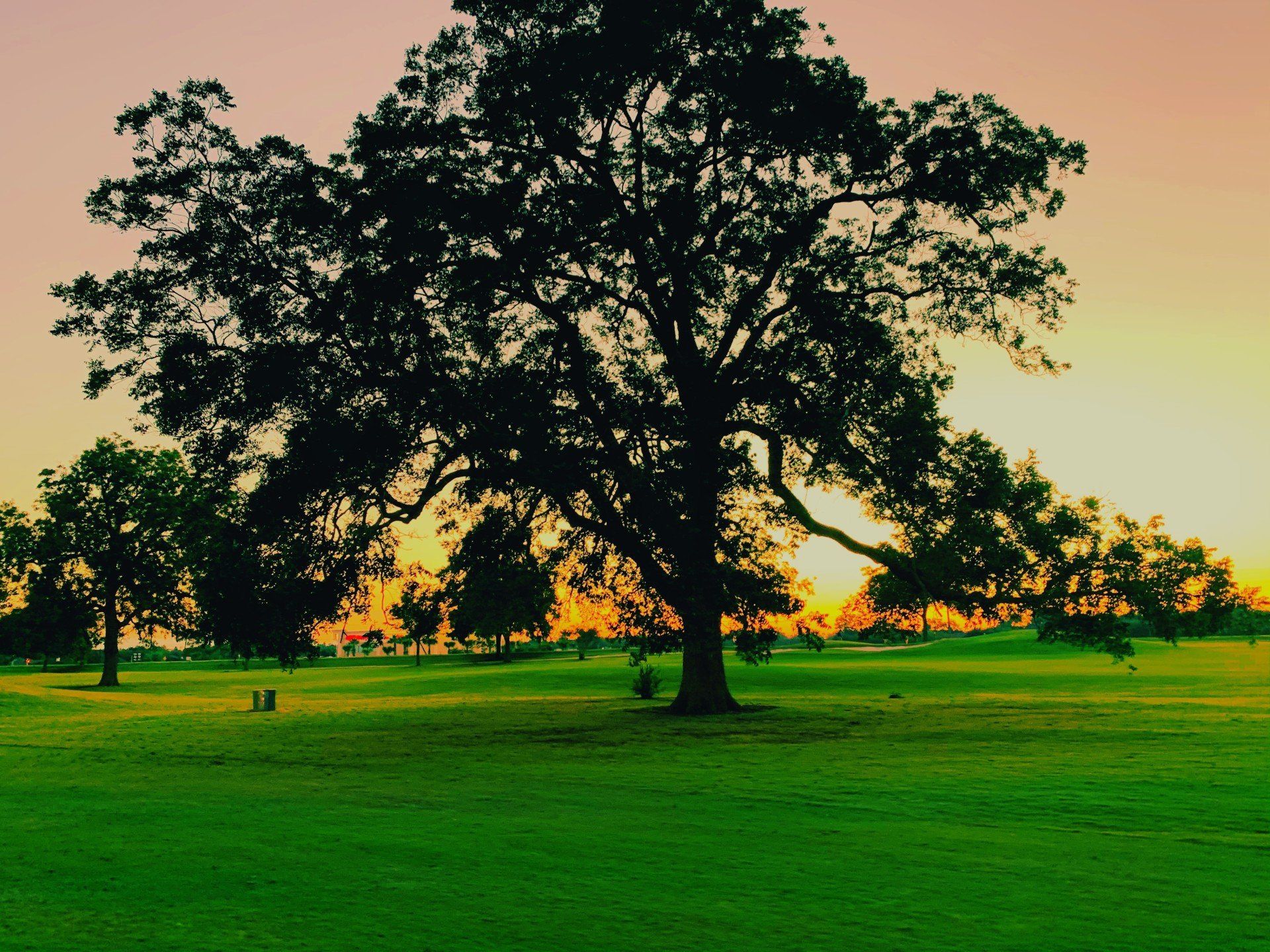 Gallery Pecan Grove Plantation Country Club Richmond, Texas