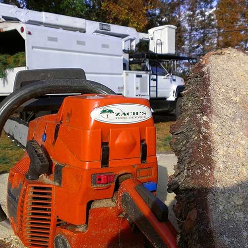Tree Stump Removal — Grinding Stump in Sperryville ,VA