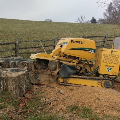 Shrub Removal — Stump On The Ground in Sperryville ,VA