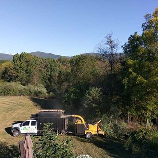 Tree Pruning — Clearing The Land in Sperryville ,VA