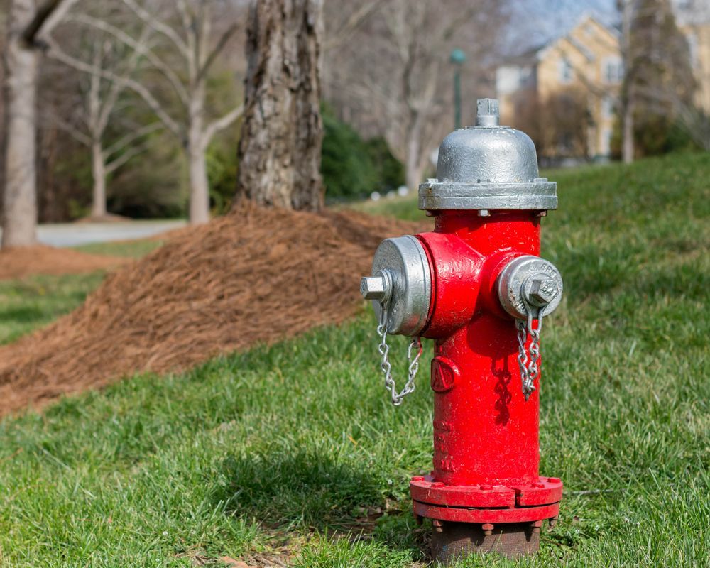 Red Fire Hydrant in A Grassy Area with A Tree and A Building — Elibon Solutions in Garbutt, QLD
