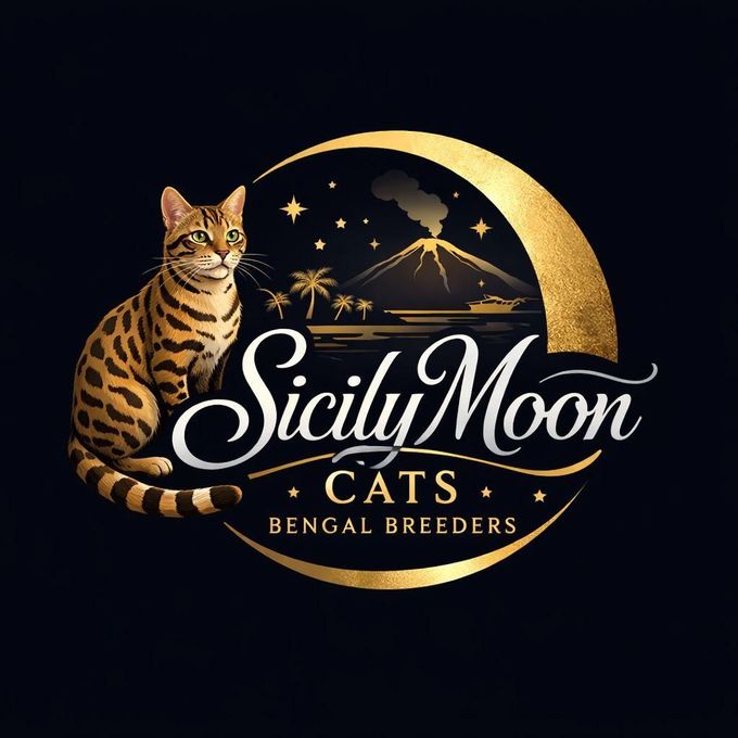 allevamento gatti del bengala