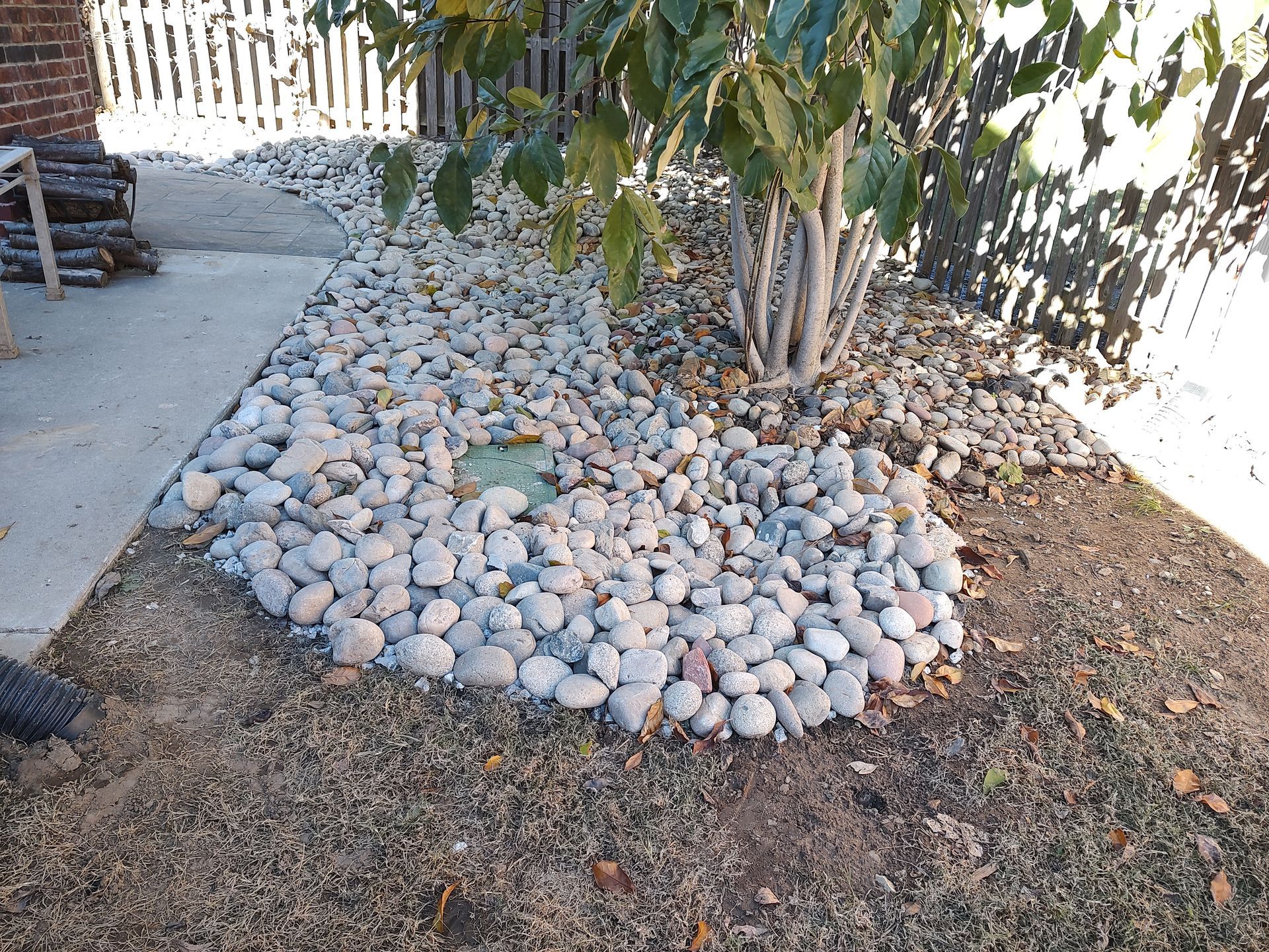 Rock-covered garden bed around a tree. Gray rocks contrast with brown soil and green leaves.