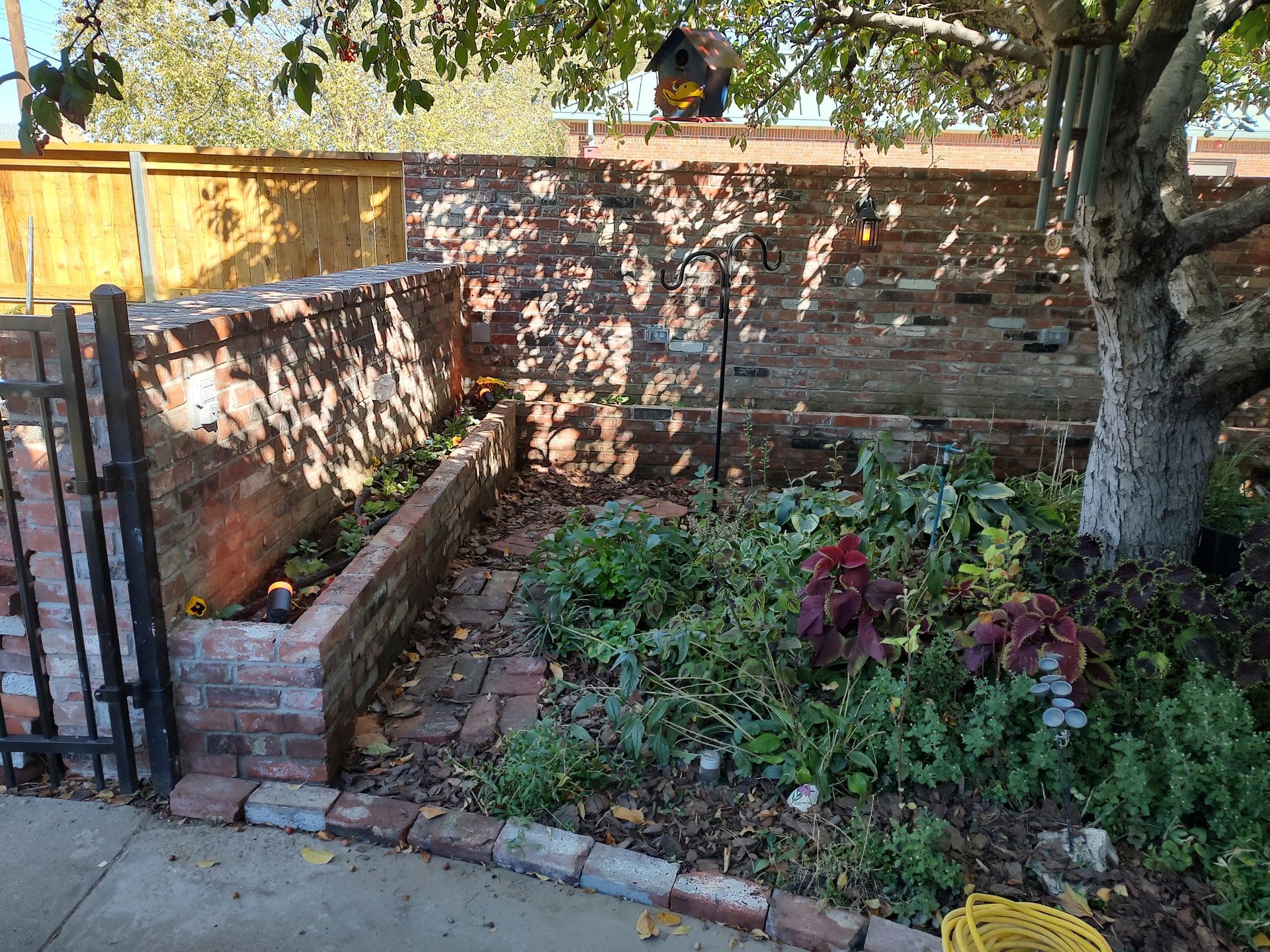 Brick garden bed with plants, brick walls, and a tree, lit by sunlight.