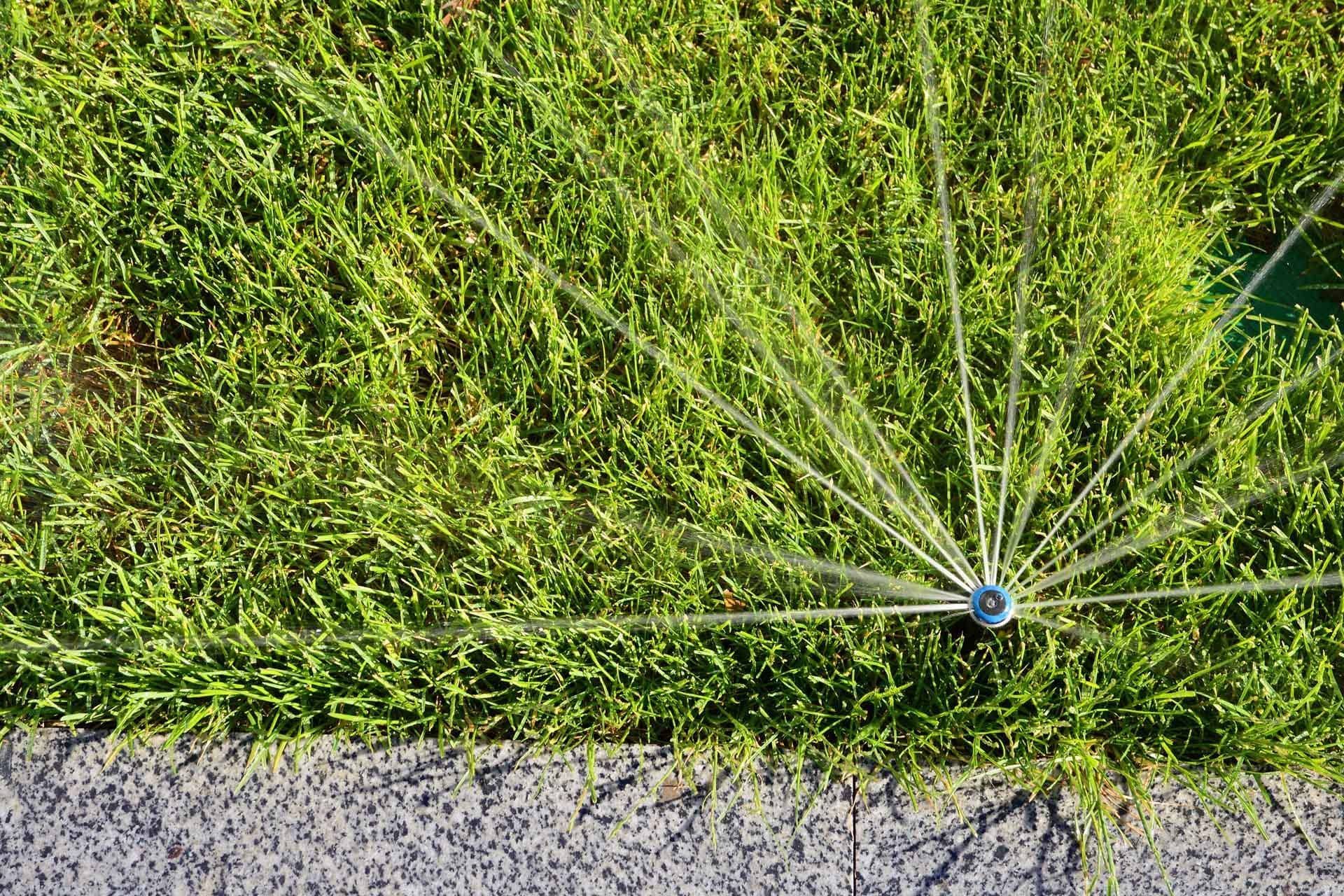 A Sprinkler is Spraying Water on a Lush Green Lawn - Tulsa, OK - Outdoor Orchestrators