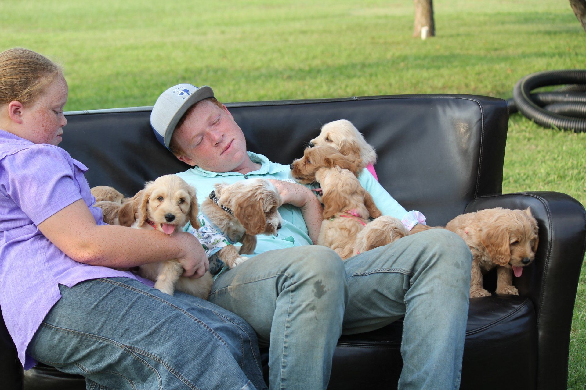 Two people on a black couch surrounded by several fluffy tan puppies outdoors.