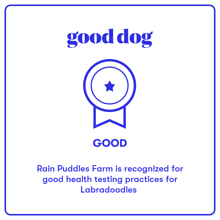 Good Dog Logo