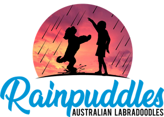 Rainpuddles Logo