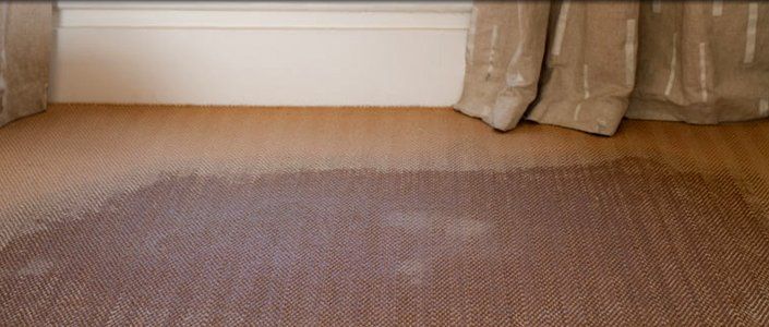 Flood Cleans – London – All Care Cleaning – Flood damage to carpet