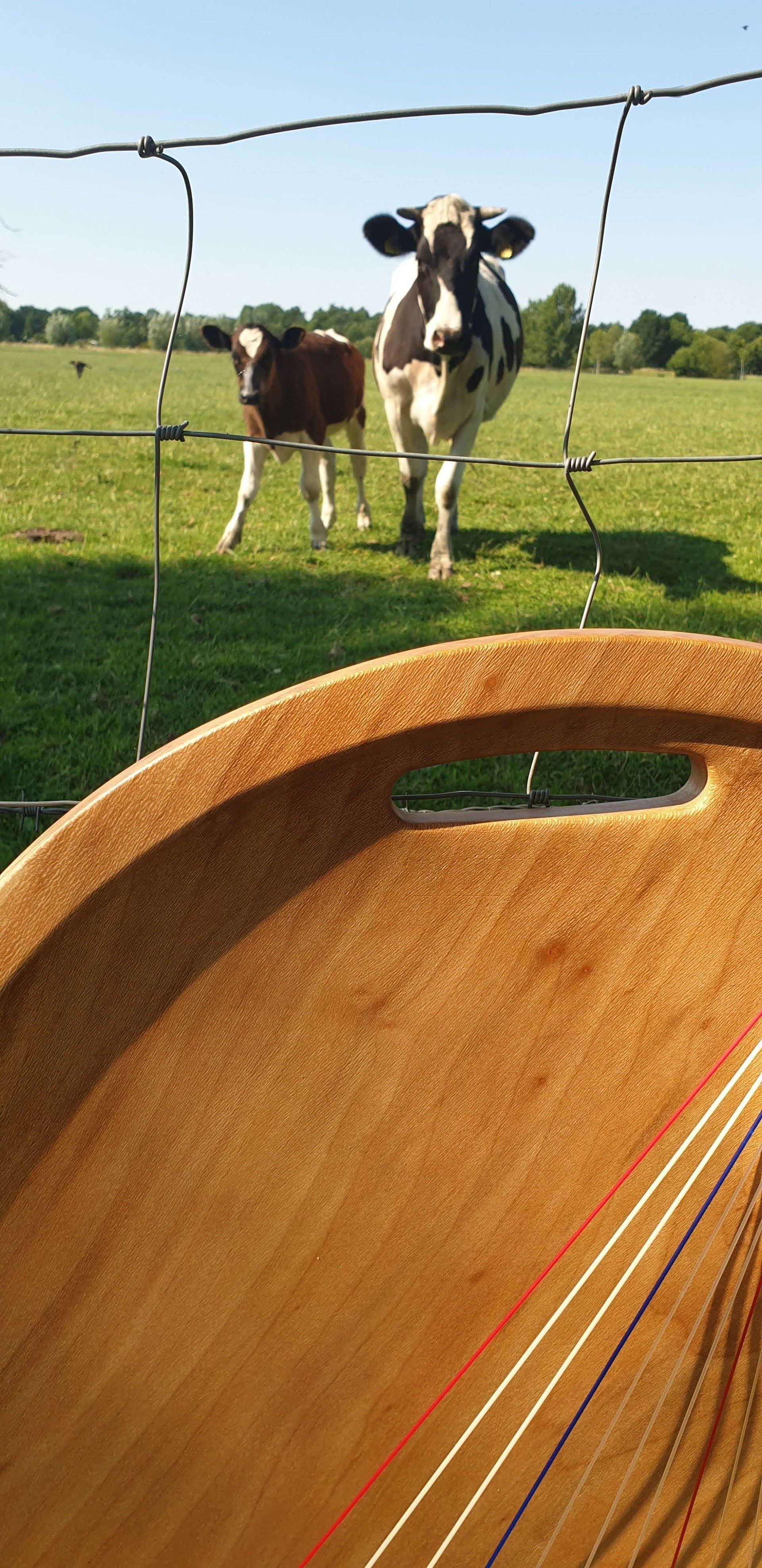 plataan platane harp harpschaal HS6027