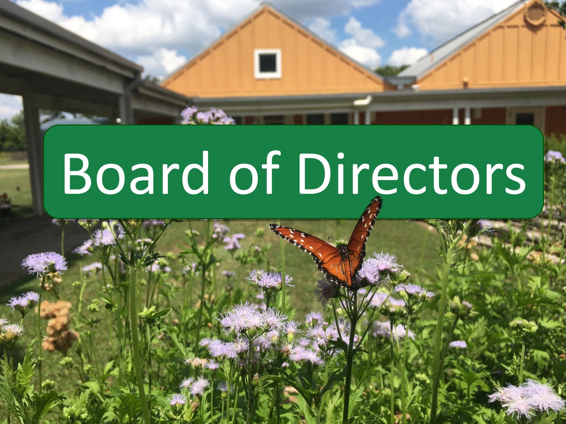 A butterfly sits on a flower in front of a sign that says board of directors for Community Montessori School