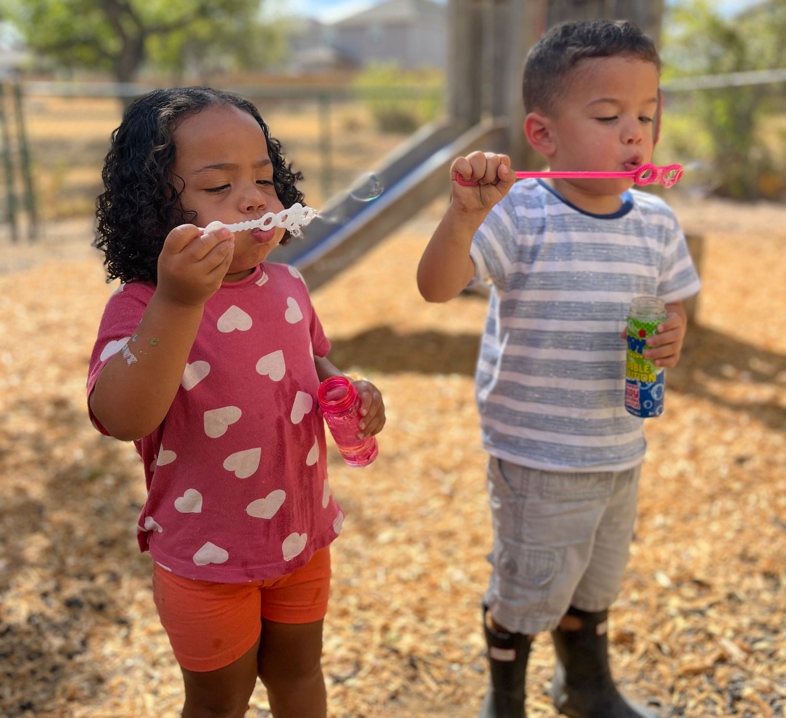 Sunflower Weekly Newsletter 8/25/23