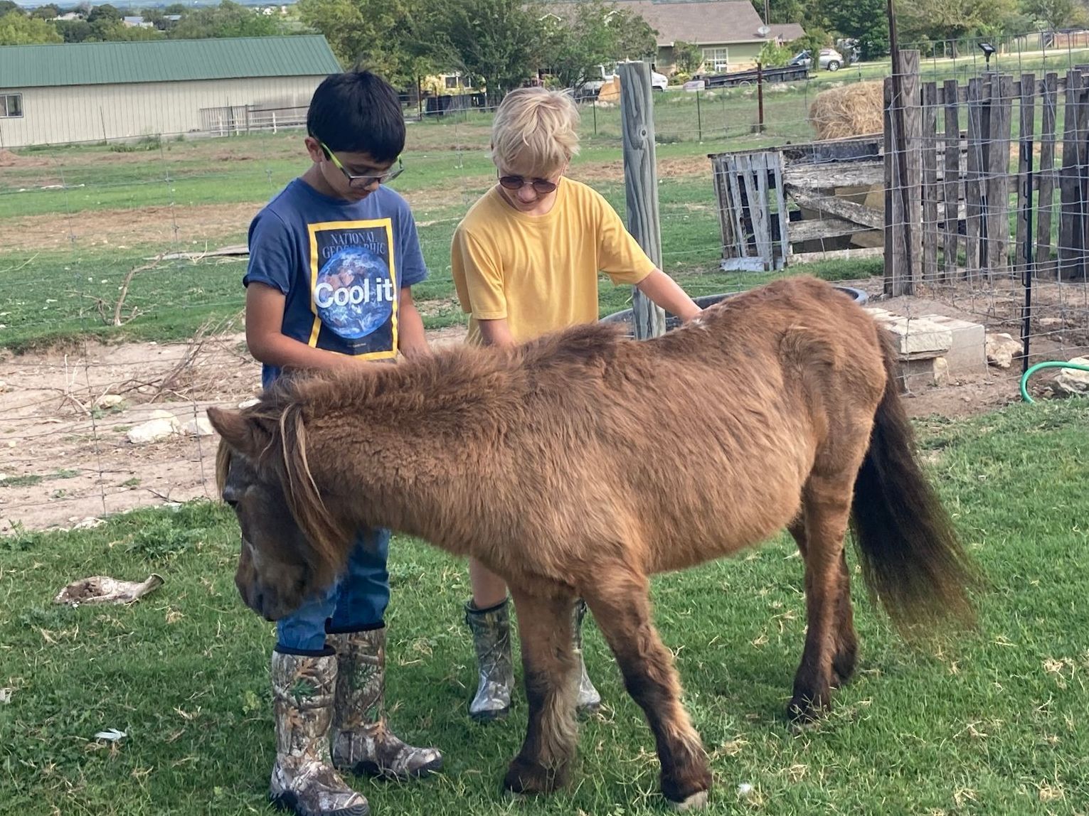 Montessori students petting a horse