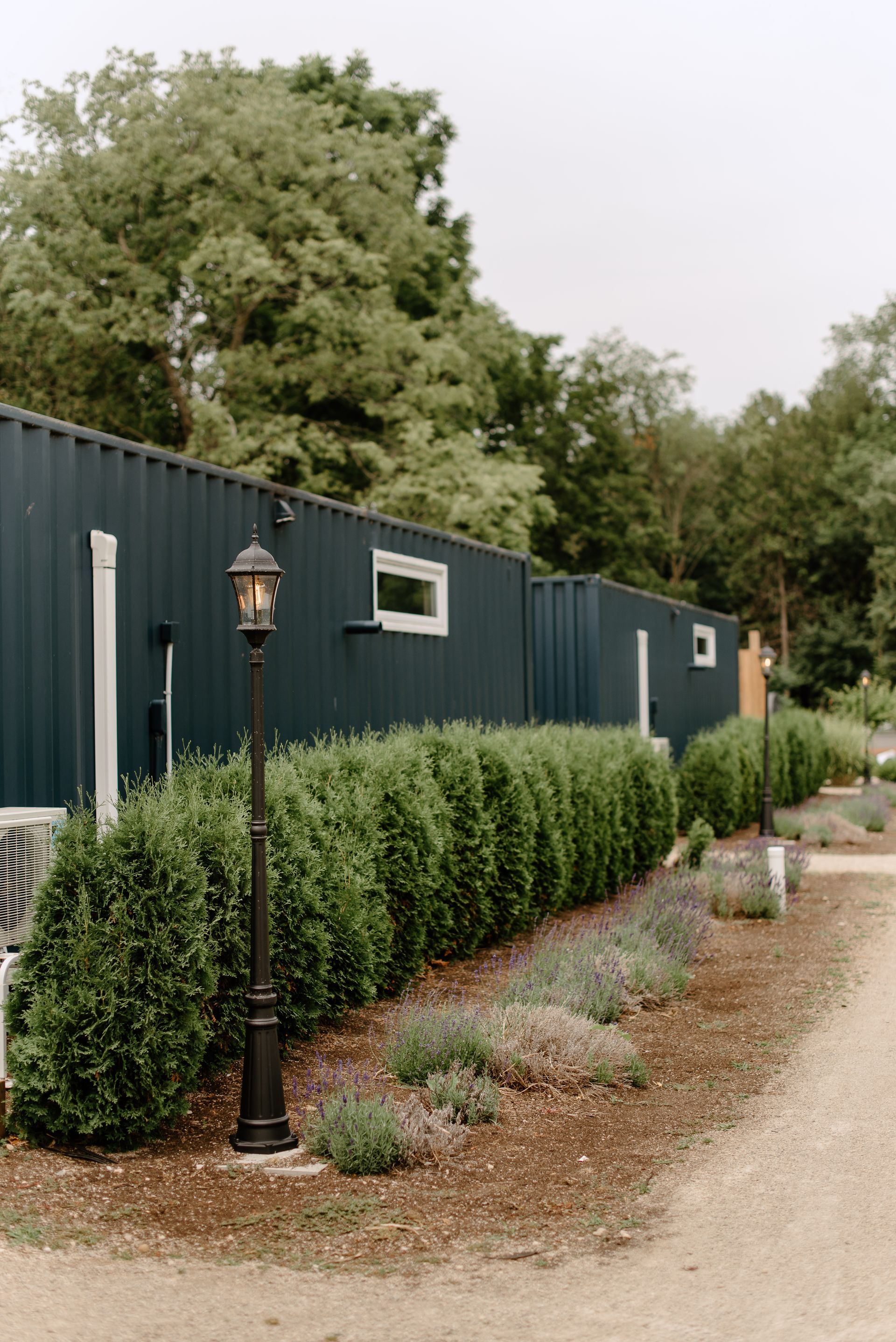 Dark blue building with windows, trimmed hedges, a lamp post, and a dirt path.