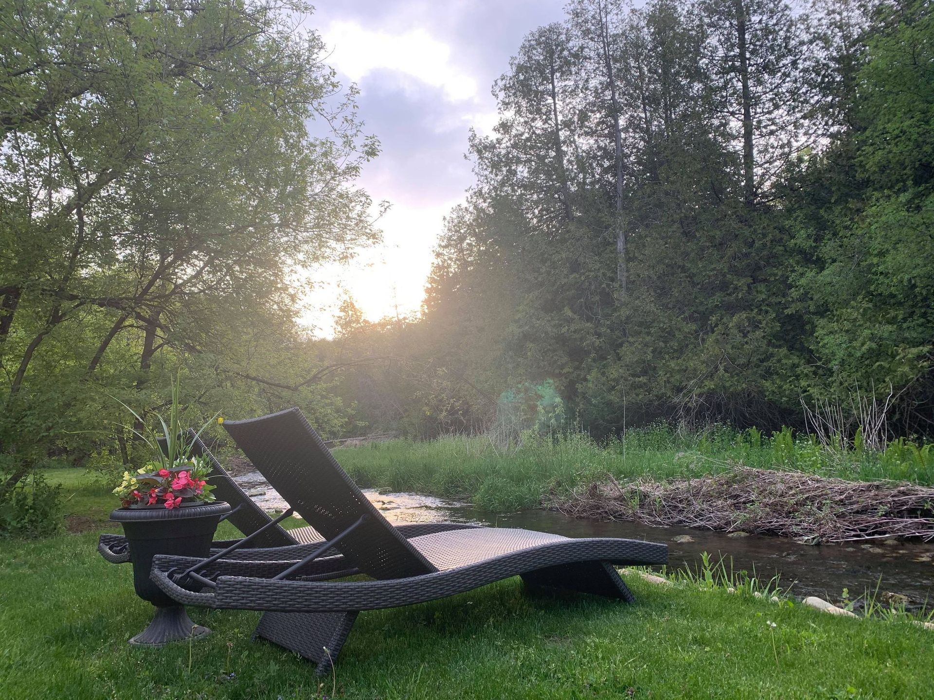 Two lounge chairs on green grass by a stream with trees, sunlight.