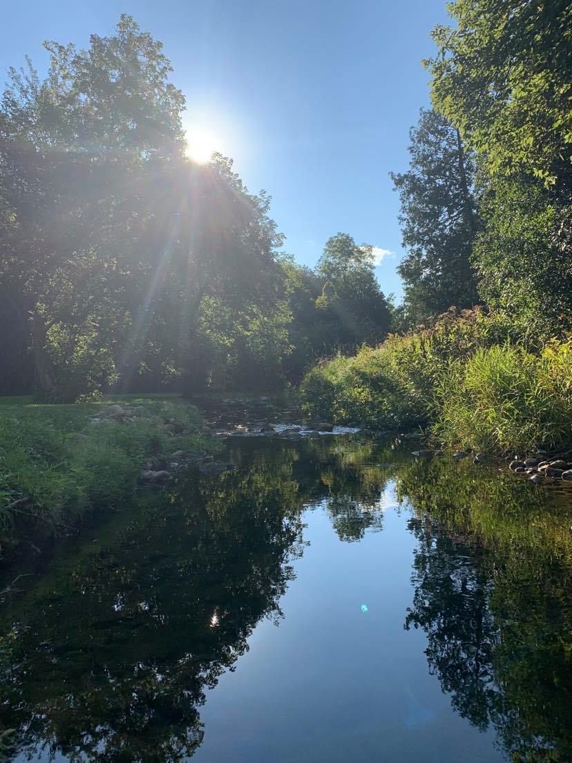 Sunlit river winding through lush green trees, reflecting the sky and light.