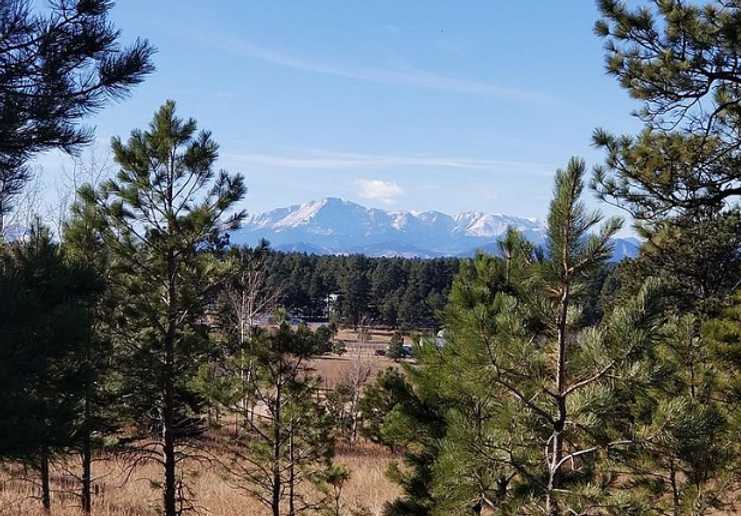 A view of a mountain range through a forest with trees in the foreground.