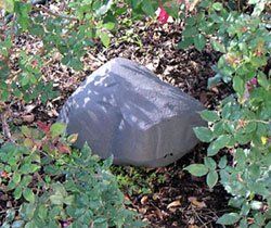 Boulder-Like Rodent Feeding Stations for Landscaping — Exterminator Company in Elk Grove Village, IL