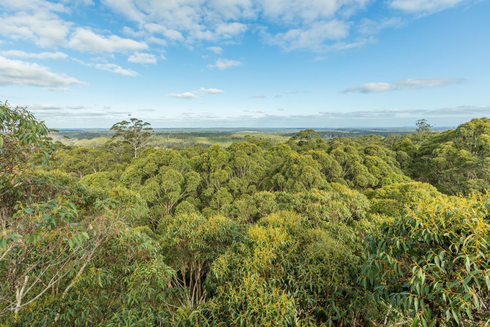 A Large Yellow And Red Crane Is Sitting On Top Of A Truck — SureLift Crane Hire In Collinsville, QLD