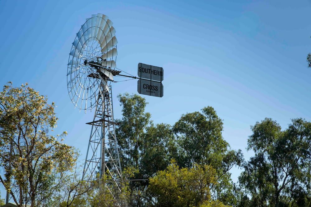 A Large Windmill Is Surrounded By Trees And A Blue Sky  — SureLift Crane Hire In Emerald, QLD