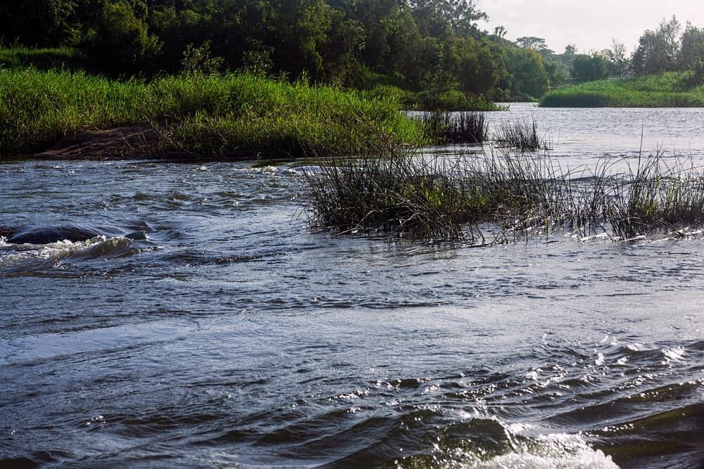 A River Flowing Through A Grassy Area With Trees — SureLift Crane Hire In Mackay, QLD