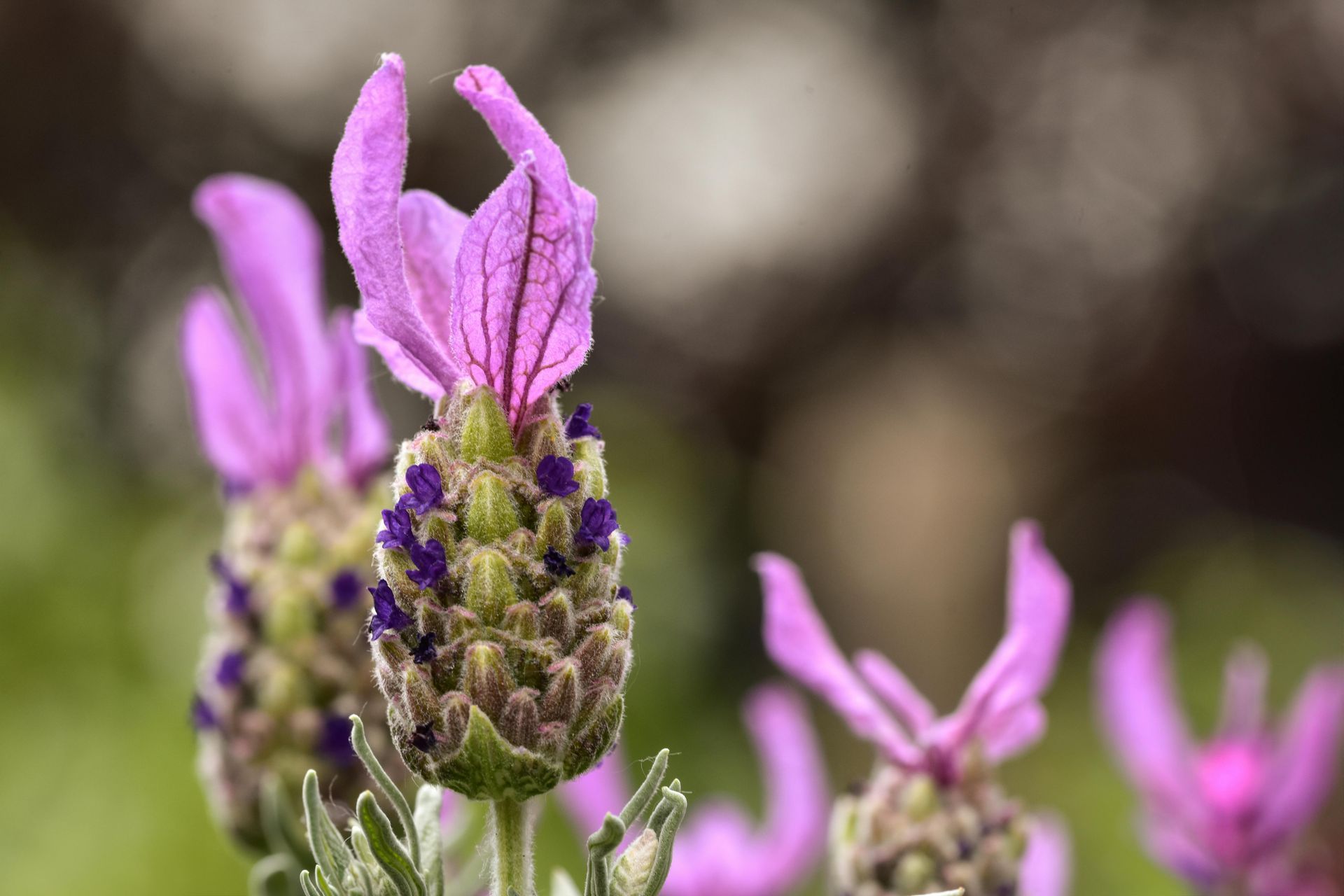 robin-embler-sensory-