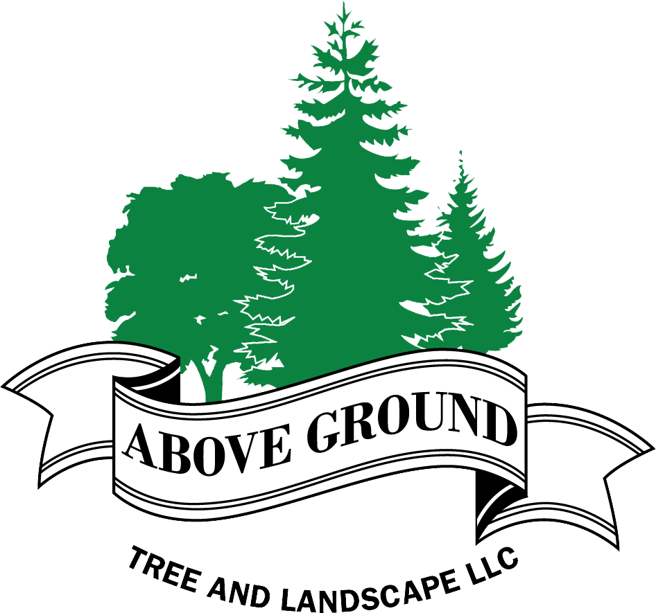 above ground tree service
