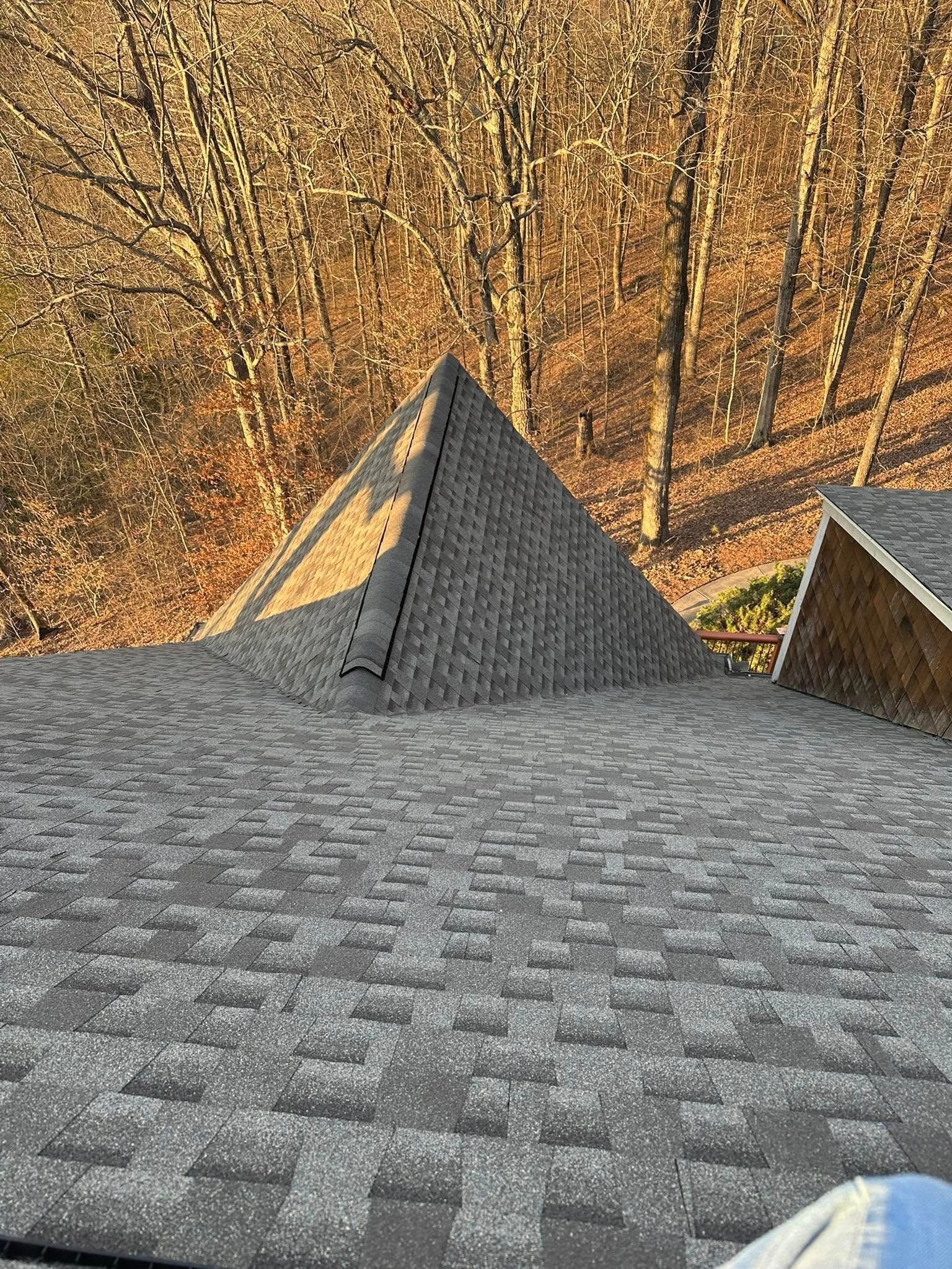 View of a gray shingled roof with a pyramidal roof feature against a backdrop of autumn trees.