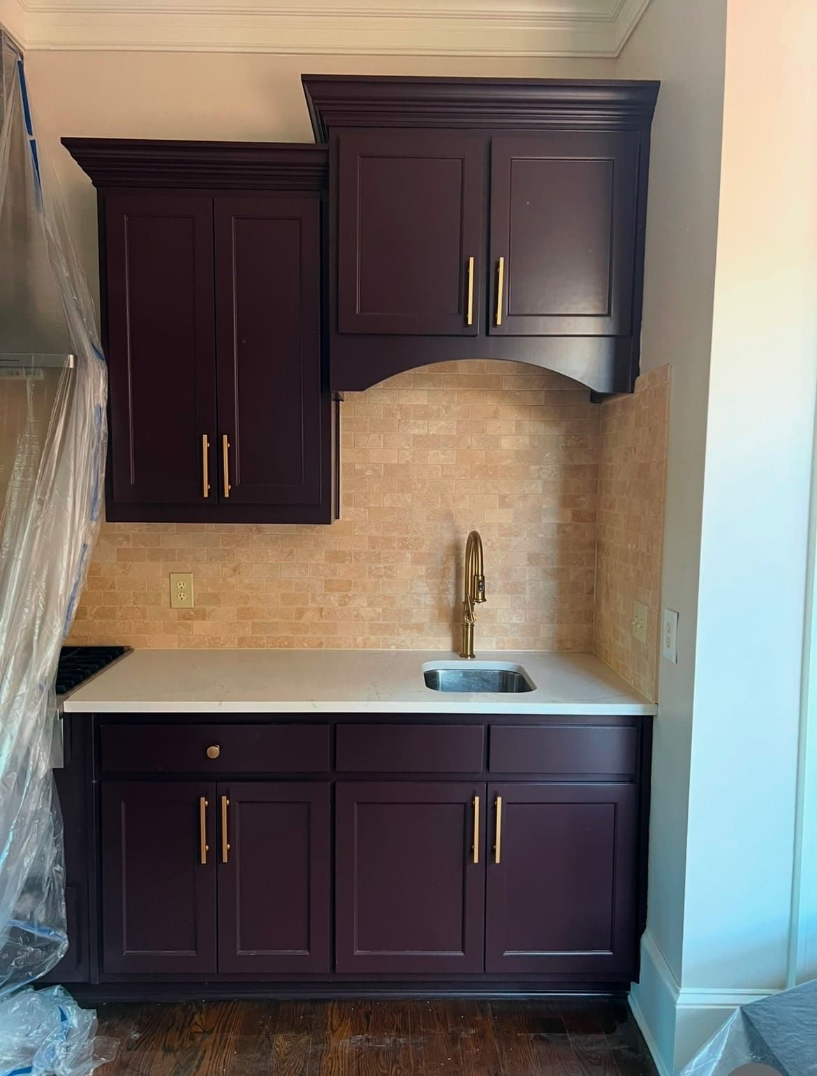 Plum-colored cabinetry with gold hardware, sink, and backsplash in a small kitchen area.