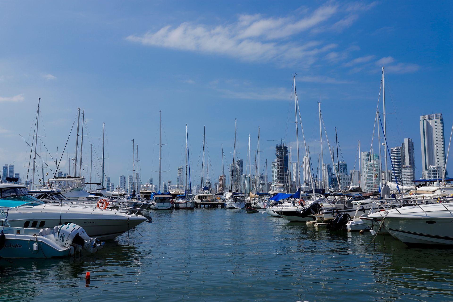 Barcos atracados en un puerto con el horizonte de la ciudad al fondo bajo un cielo azul despejado.