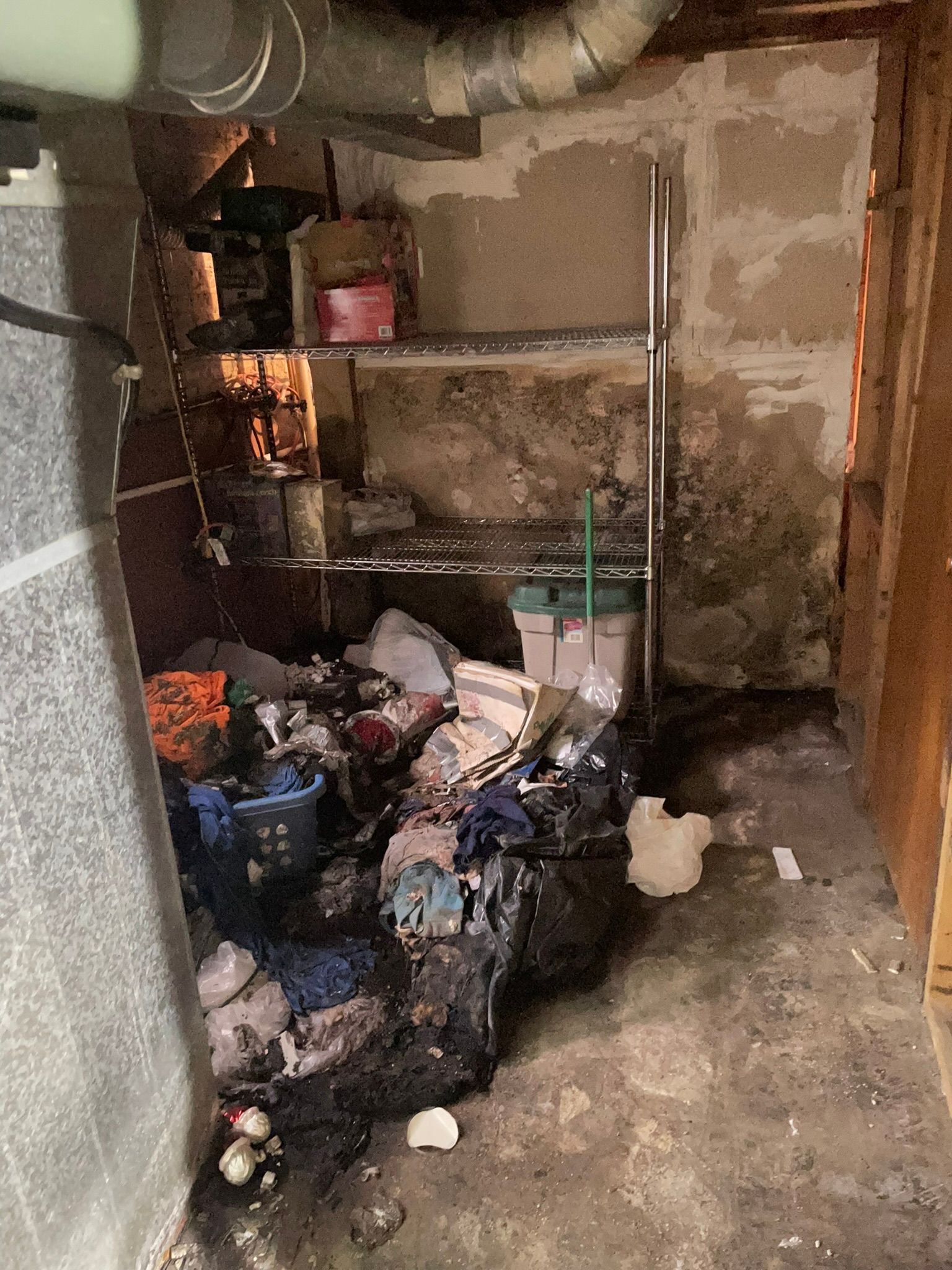 Mold Damage Plainfield