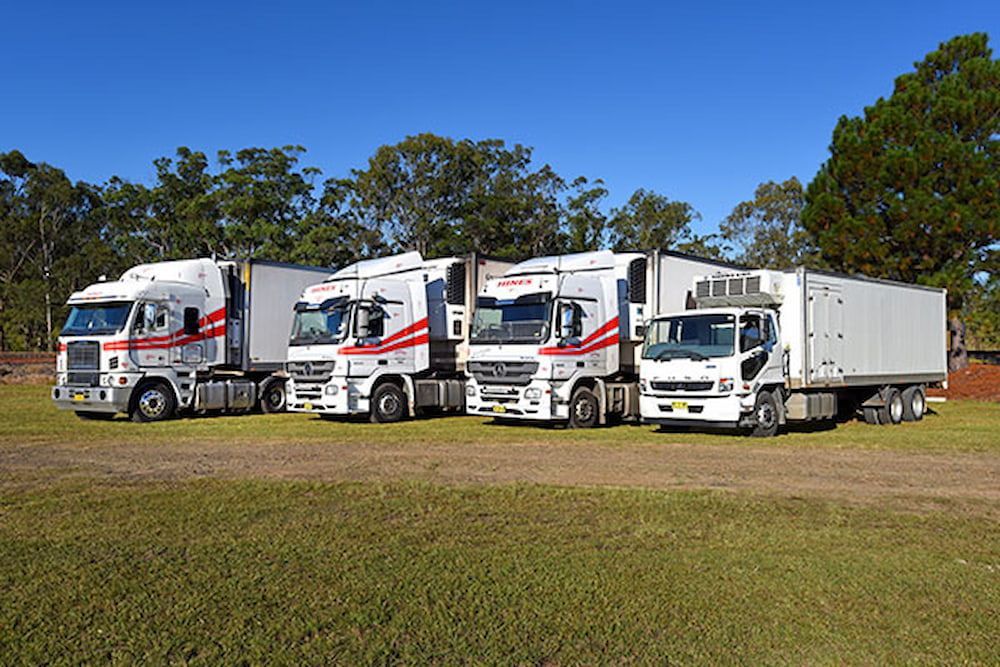 Four White Trucks Parked in a Grassy Field — Hines Refrigerated Transport Pty Ltd in Kundabung, NSW