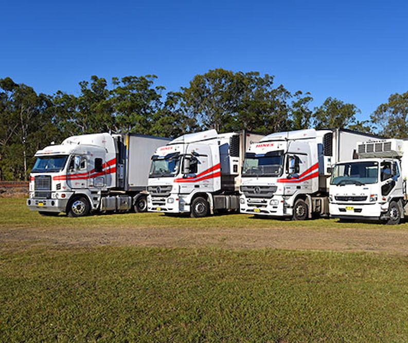 Man With Crossed Arms Stands Between Two White  ā Hines Refrigerated Transport Pty Ltd in Kundabung, NSW