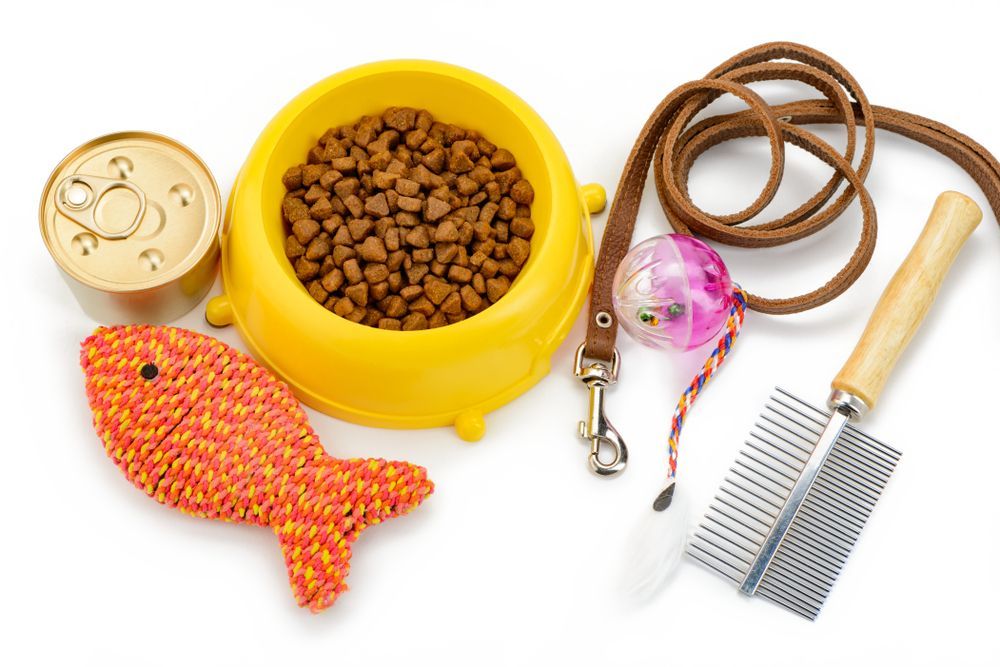 A bowl of cat food , a can of cat food , a toy , a leash and a comb.