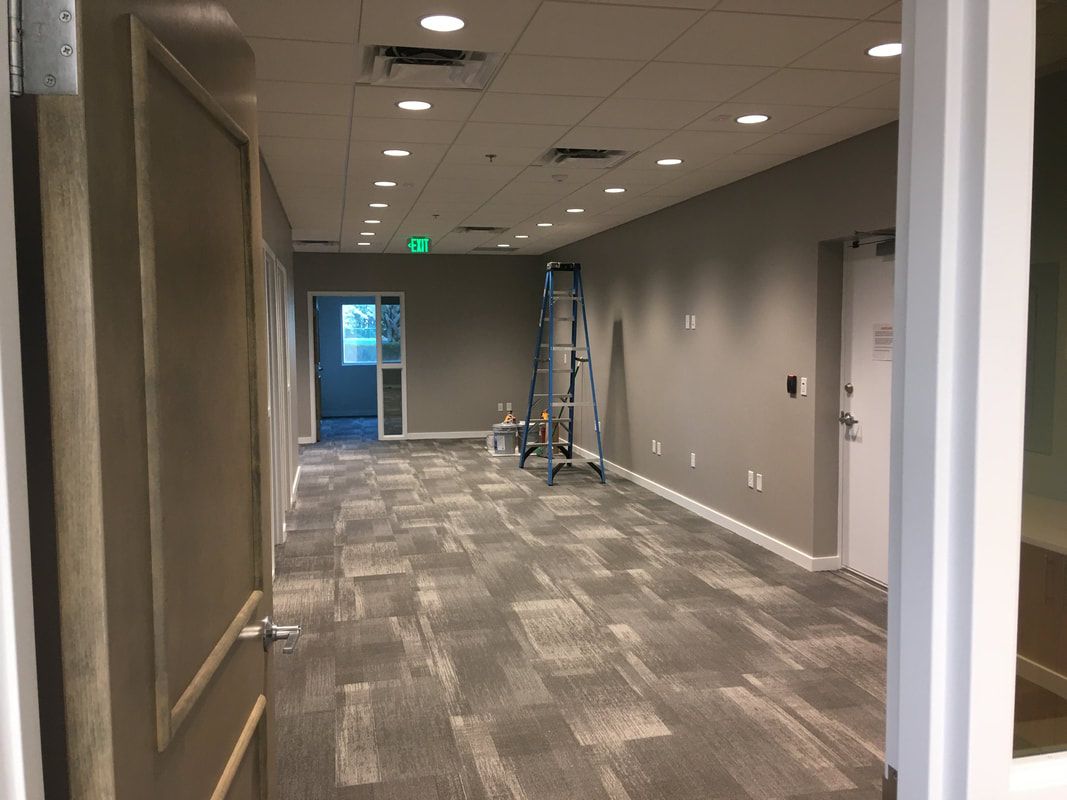 A large empty room with a carpeted floor and a ladder in the corner.
