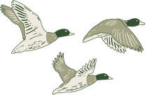 Flyway Meadows Icon