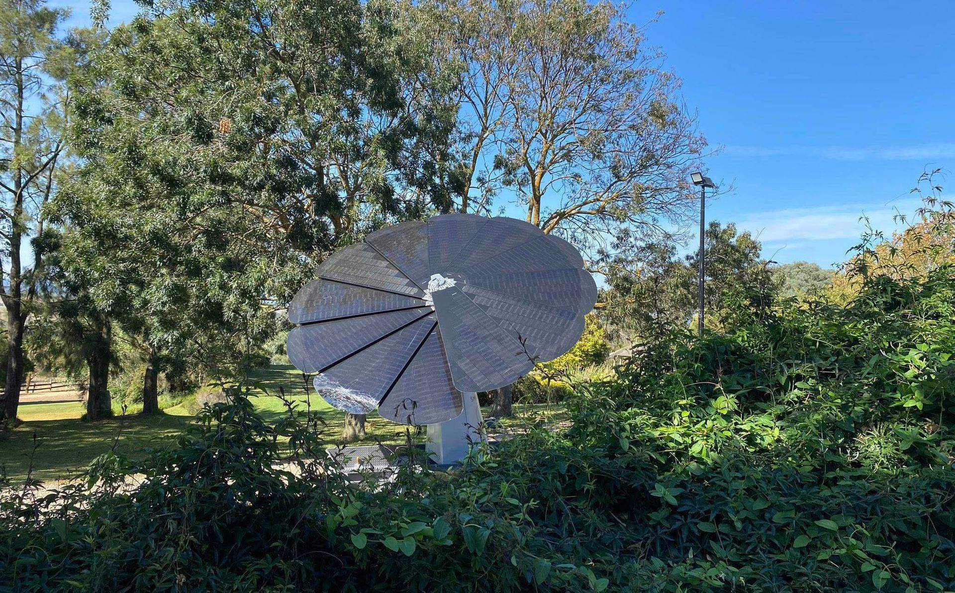 Large gray satellite dish in a leafy outdoor area under a blue sky