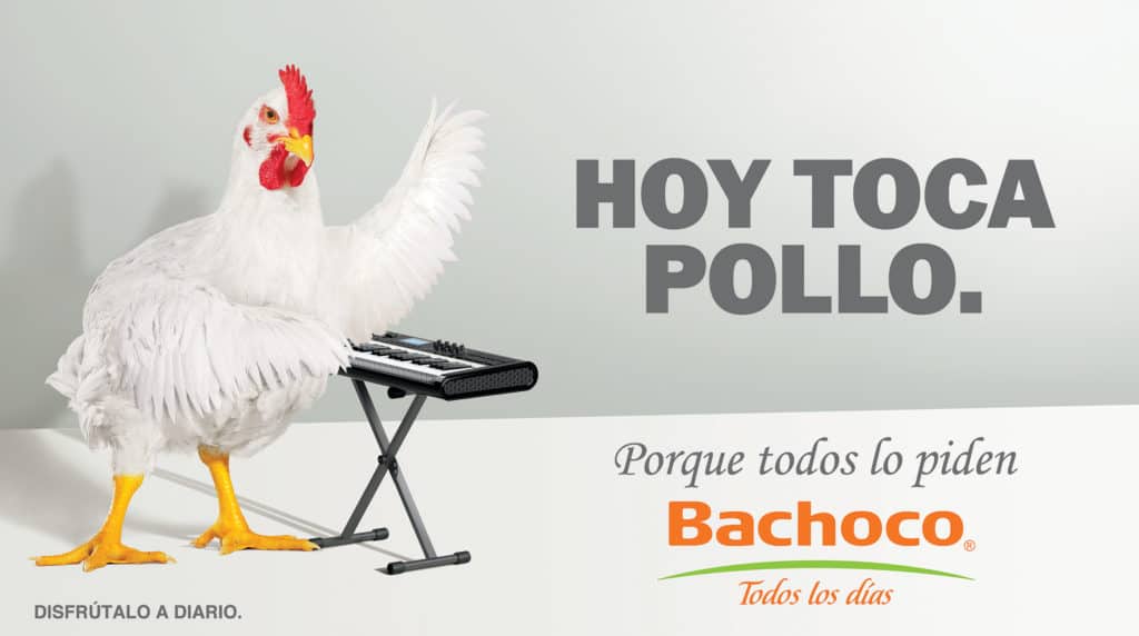 publicidad bachoco