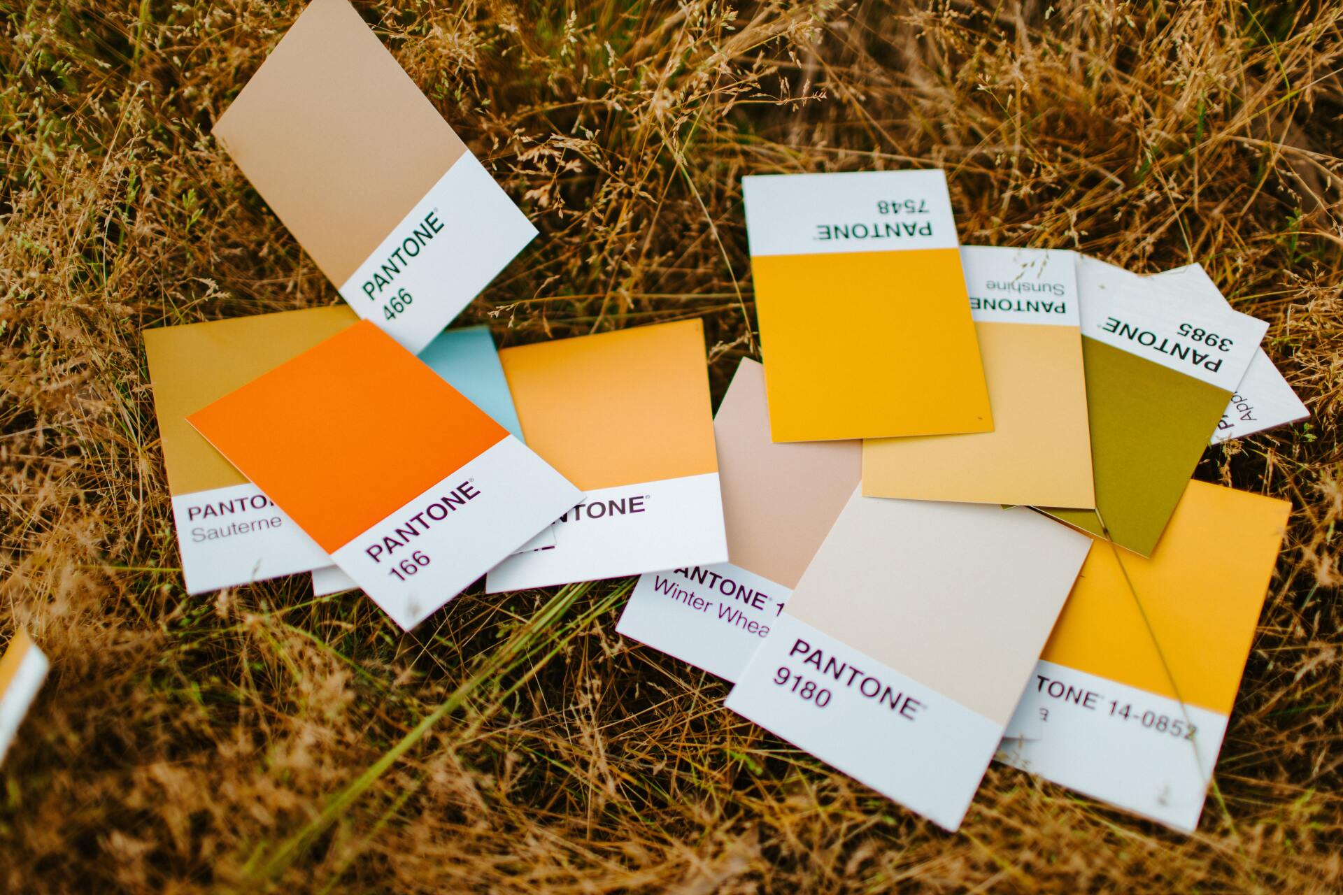 paleta colores pantone paleta colores pantone