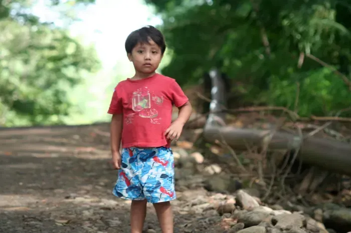 Young child in red shirt and patterned shorts stands on a dirt path, trees in background.