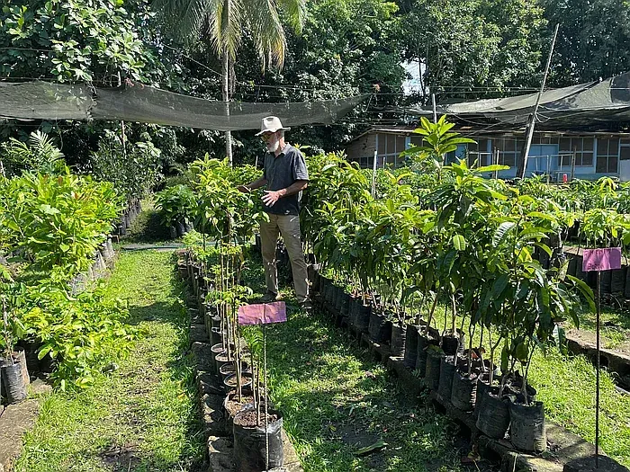 Man in a hat standing in a nursery inspecting rows of potted plants, under shade and in bright sunlight.