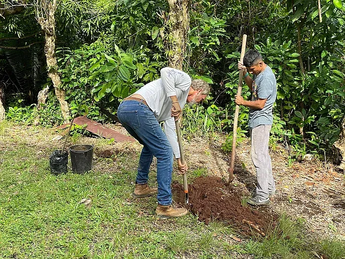 two men digging with shovels to plant a tree