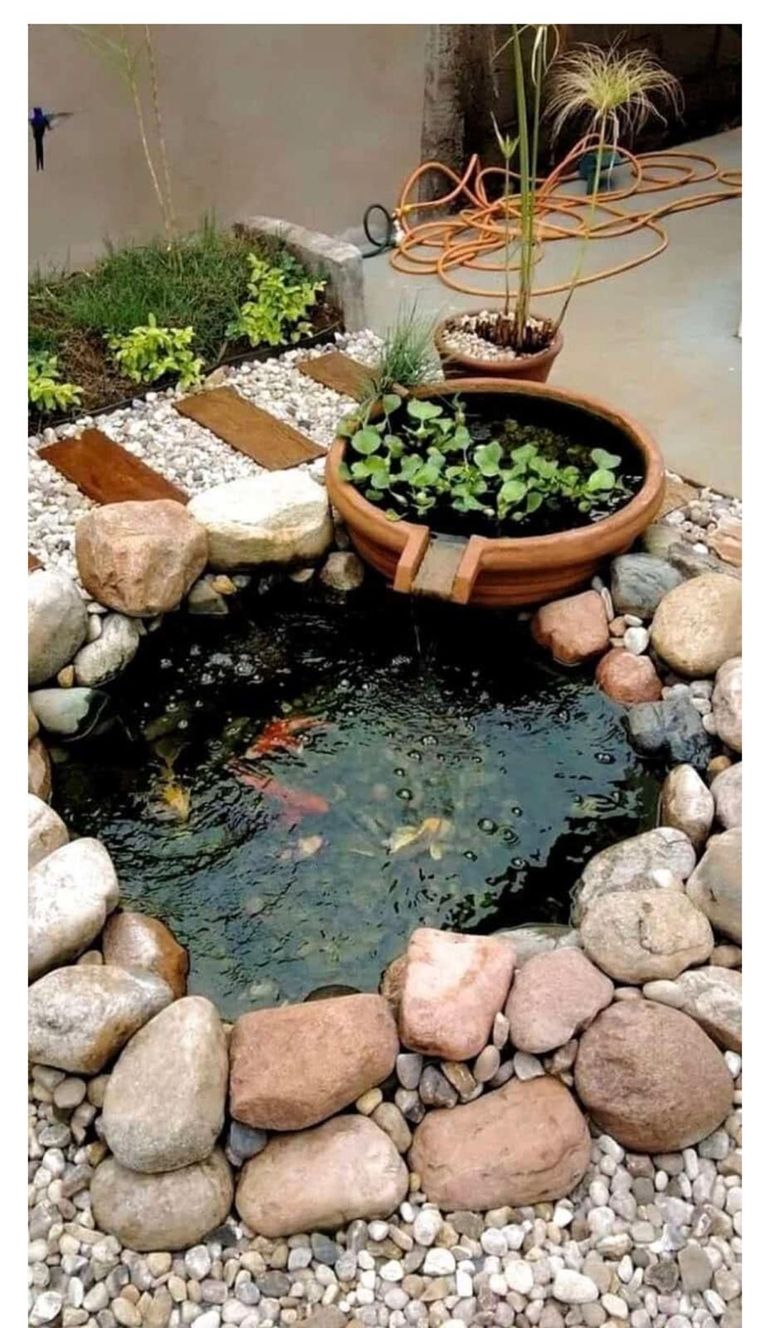 Small backyard pond with rocks, potted plants, and a shallow water feature bordered by stone.