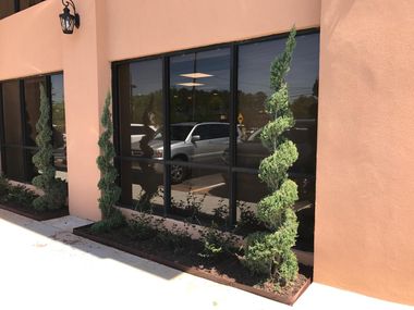 Storefront windows with reflected cars and spiral topiary beside a peach stucco wall